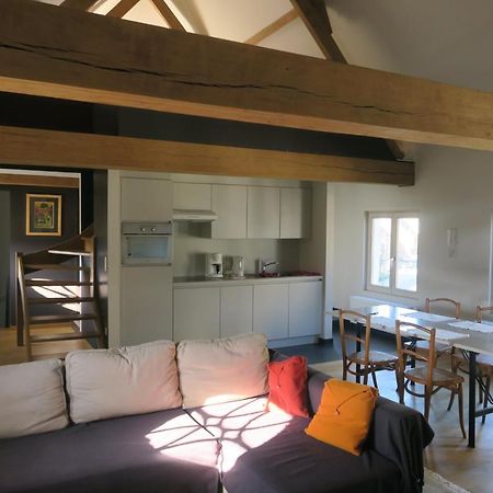 B&B / Studio De Druivelaar In Hartje Kluisbergen Exteriér fotografie